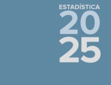 Estadísticas 2025