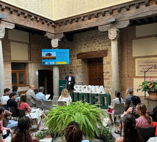 Cursos de verano 2025 para el profesorado extranjero de español