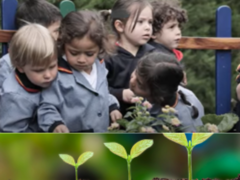 Imagen del artículo Los centros del exterior con el medio ambiente
